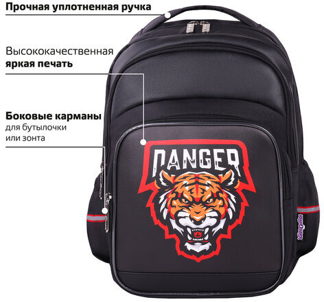 Рюкзак ЮНЛАНДИЯ MILD, 2 отделения, 3 кармана, эрго-спинка, "Predator", 36х28х18 см, 271388