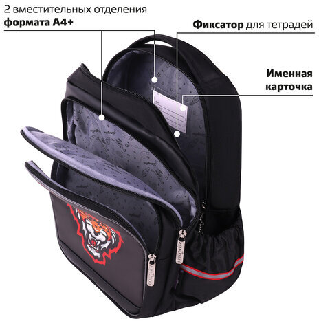 Рюкзак ЮНЛАНДИЯ MILD, 2 отделения, 3 кармана, эрго-спинка, "Predator", 36х28х18 см, 271388