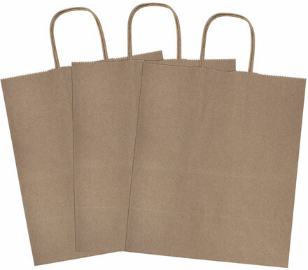 Крафт-пакет бумажный 22х12х25 см, КОМПЛЕКТ 50 шт., крученые ручки, плотность 90 г/м2, LAIMA ECO CRAFT, 609684