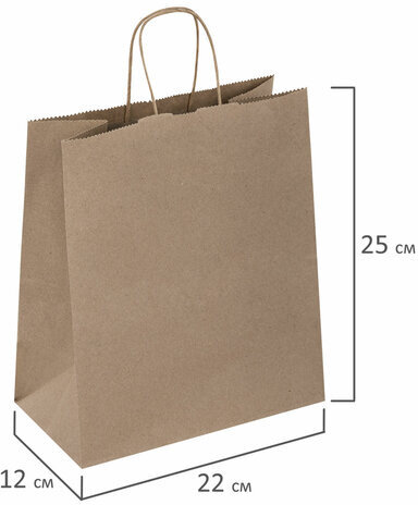 Крафт-пакет бумажный 22х12х25 см, КОМПЛЕКТ 50 шт., крученые ручки, плотность 90 г/м2, LAIMA ECO CRAFT, 609684