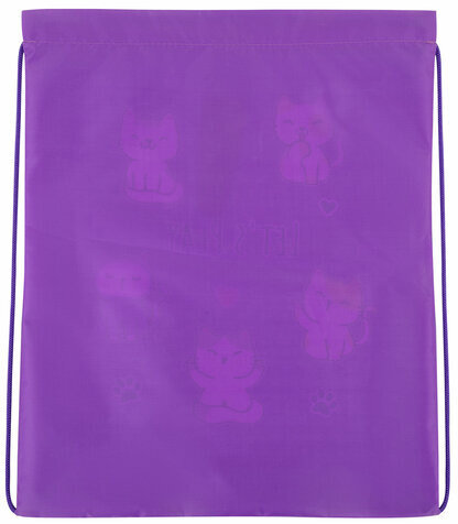 Мешок для обуви BRAUBERG KIDS, с петлей, 42х34 см, "Playing kittens", 272413