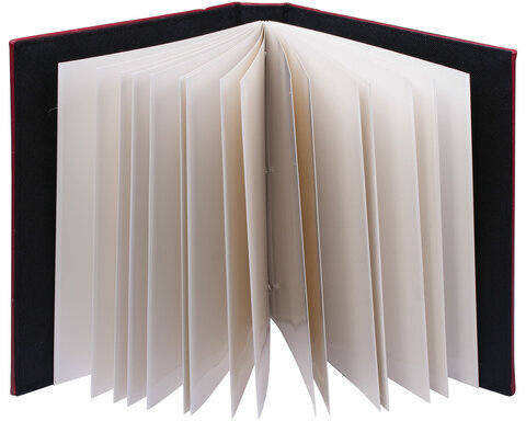 Фотоальбом BRAUBERG на 20 магнитных листов, 23х28 см, обложка под кожу страуса, на кольцах, бордовый, 390692