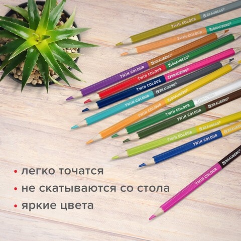 Карандаши цветные мягкие двусторонние BRAUBERG PREMIUM TWIN COLOUR, 24 штуки, 48 цветов, 181876