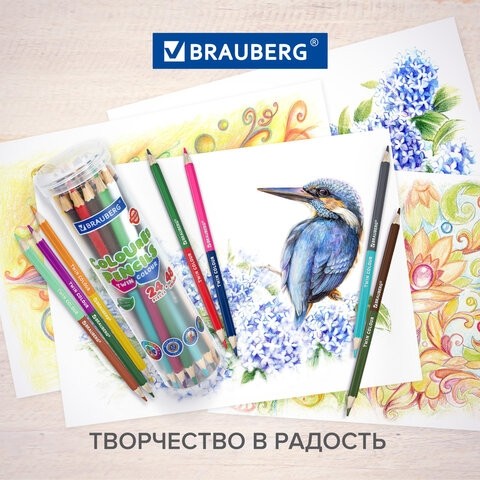 Карандаши цветные мягкие двусторонние BRAUBERG PREMIUM TWIN COLOUR, 24 штуки, 48 цветов, 181876