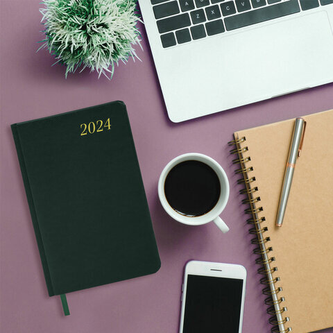 Ежедневник датированный 2024 А5 138x213 мм BRAUBERG "Iguana", под кожу, темно-зеленый, 114852