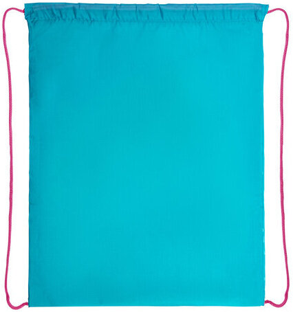 Мешок для обуви ПИФАГОР, 1 отделение, 40х32 см, "Smart penguin", 271602