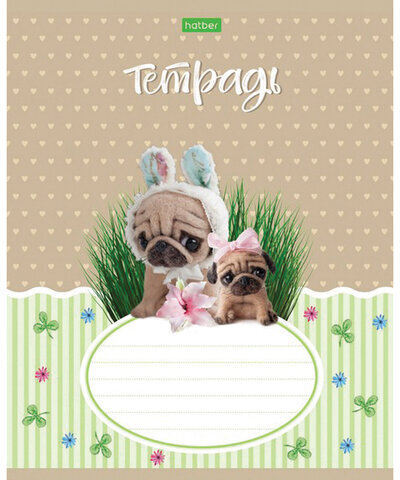 Тетрадь 12 л. HATBER-ECO, клетка, обложка плотная мелованная бумага, "Пушистые зверушки", 12Т5C1