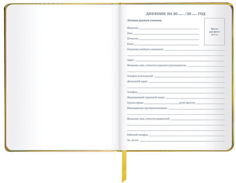 Дневник 1-11 класс 48 л., кожзам (твердая с поролоном), фольга, BRAUBERG HOLIDAY, "Музыка", 106914