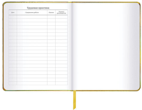 Дневник 1-11 класс 48 л., кожзам (твердая с поролоном), фольга, BRAUBERG HOLIDAY, "Музыка", 106914