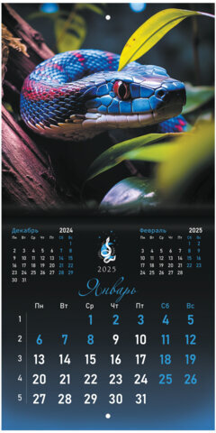 Календарь настенный перекидной на 2025 г., BRAUBERG, 12 листов, 22,5х22,5 см, МИНИ, "Символ года", 116183