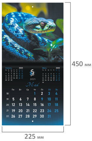 Календарь настенный перекидной на 2025 г., BRAUBERG, 12 листов, 22,5х22,5 см, МИНИ, "Символ года", 116183