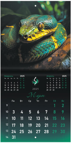 Календарь настенный перекидной на 2025 г., BRAUBERG, 12 листов, 22,5х22,5 см, МИНИ, "Символ года", 116183