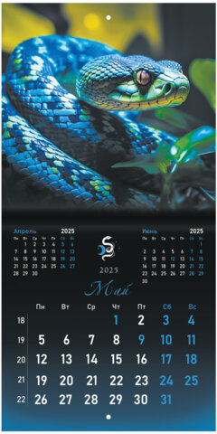Календарь настенный перекидной на 2025 г., BRAUBERG, 12 листов, 22,5х22,5 см, МИНИ, "Символ года", 116183