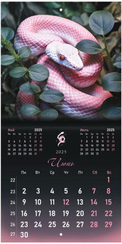 Календарь настенный перекидной на 2025 г., BRAUBERG, 12 листов, 22,5х22,5 см, МИНИ, "Символ года", 116183