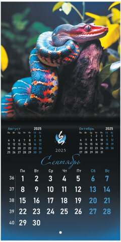 Календарь настенный перекидной на 2025 г., BRAUBERG, 12 листов, 22,5х22,5 см, МИНИ, "Символ года", 116183