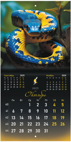 Календарь настенный перекидной на 2025 г., BRAUBERG, 12 листов, 22,5х22,5 см, МИНИ, "Символ года", 116183