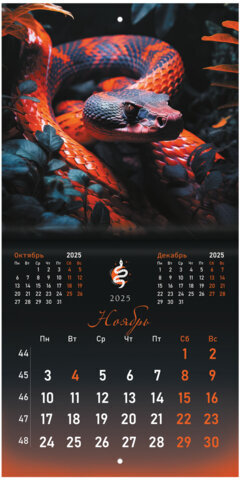 Календарь настенный перекидной на 2025 г., BRAUBERG, 12 листов, 22,5х22,5 см, МИНИ, "Символ года", 116183