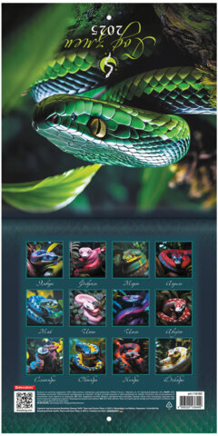 Календарь настенный перекидной на 2025 г., BRAUBERG, 12 листов, 22,5х22,5 см, МИНИ, "Символ года", 116183