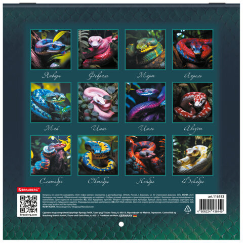 Календарь настенный перекидной на 2025 г., BRAUBERG, 12 листов, 22,5х22,5 см, МИНИ, "Символ года", 116183