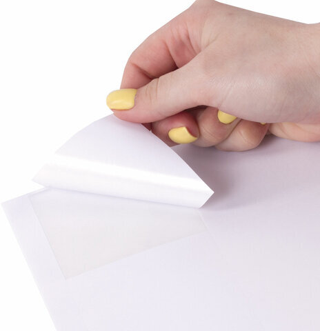 Этикетка самоклеящаяся 70х67,7 мм, 12 этикеток, 65 г/м2, 100 л., STAFF "EVERYDAY" (сырье Финляндия), 111838