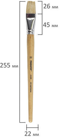 Кисть ПИФАГОР, ЩЕТИНА, плоская, № 22, деревянная лакированная ручка, пакет с подвесом, 200880