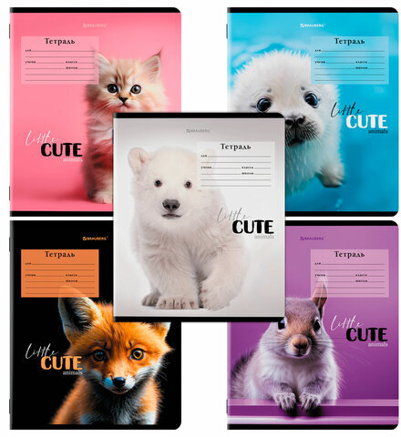 Тетрадь 12 л. BRAUBERG, клетка, обложка картон, CUTE ANIMALS, 107266