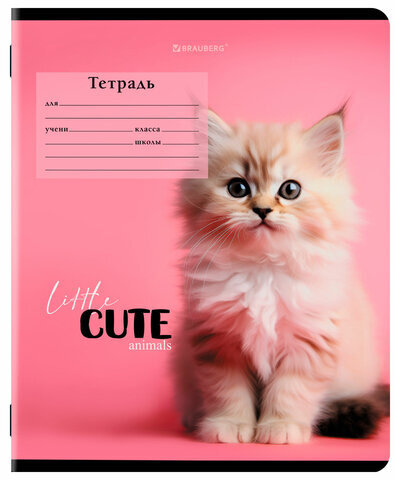 Тетрадь 12 л. BRAUBERG, клетка, обложка картон, CUTE ANIMALS, 107266