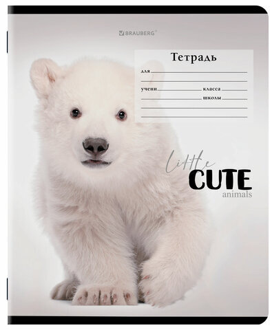 Тетрадь 12 л. BRAUBERG, клетка, обложка картон, CUTE ANIMALS, 107266