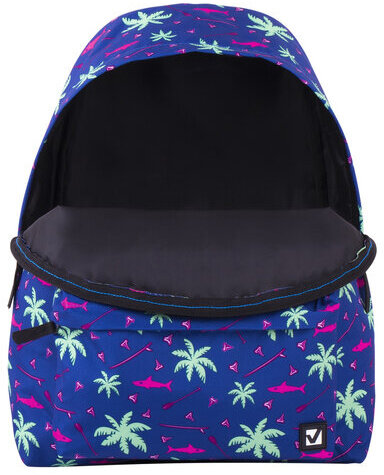 Рюкзак BRAUBERG, универсальный, сити-формат, Пальмы, 20 литров, 41х32х14 см, 228864