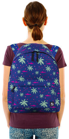 Рюкзак BRAUBERG, универсальный, сити-формат, Пальмы, 20 литров, 41х32х14 см, 228864