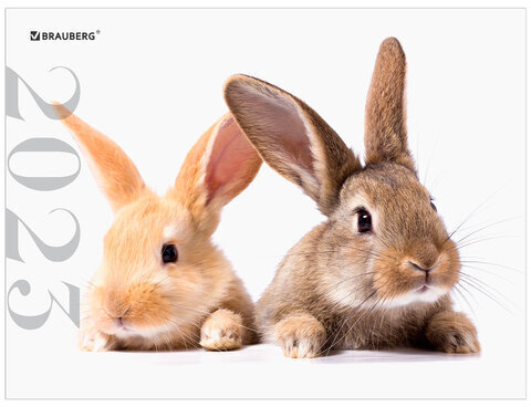 Календарь квартальный на 2023 г., 3 блока, 3 гребня, с бегунком, мелованная бумага, "BUNNIES", BRAUBERG, 114255