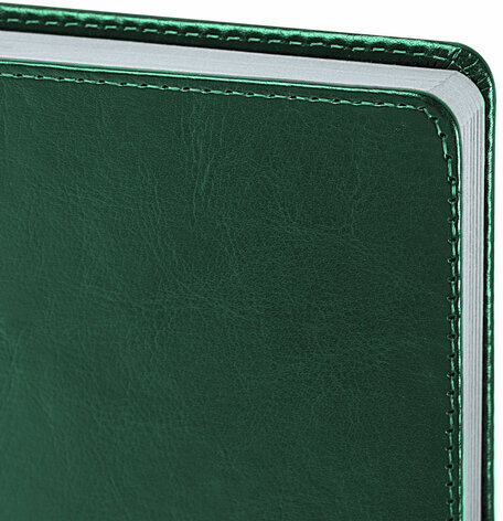 Ежедневник датированный 2025, А5, 138x213 мм, BRAUBERG "Inspiration", под кожу, цветной срез, темно-зеленый, 115904