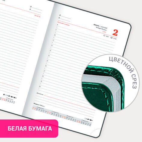 Ежедневник датированный 2025, А5, 138x213 мм, BRAUBERG "Inspiration", под кожу, цветной срез, темно-зеленый, 115904