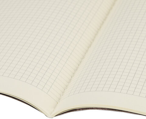Тетрадь 40 л. в клетку обложка SoftTouch, бежевая бумага 70 г/м2, сшивка, А5 (147х210 мм), MISTER CAT, BRAUBERG, 403768