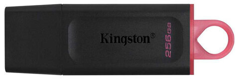 Флеш-диск 256GB KINGSTON DataTraveler Exodia, разъем USB 3.2, черный/розовый, DTX/256GB