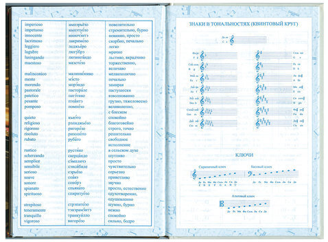 Дневник для музыкальной школы 140х210 мм, 48 л., твердый, BRAUBERG, выборочный лак, справочный материал, "Симфония", 103601