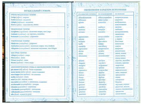 Дневник для музыкальной школы 140х210 мм, 48 л., твердый, BRAUBERG, выборочный лак, справочный материал, "Симфония", 103601