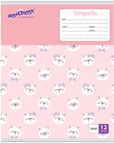 Тетрадь 12 л. ЮНЛАНДИЯ линия, обложка картон, "ЕРАЛАШ", 105633