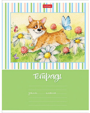 Тетрадь 18 л. HATBER клетка, обложка картон, "Из жизни корги" (5 видов в спайке),18Т5В1