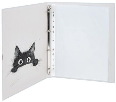 Папка-портфолио универсальная, 4 кольца, 20 файлов, 7БЦ матовая, BRAUBERG "Cat", 107557, 117557