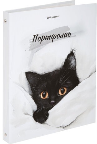 Папка-портфолио универсальная, 4 кольца, 20 файлов, 7БЦ матовая, BRAUBERG "Cat", 107557, 117557