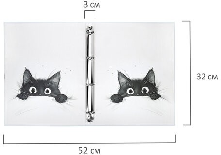 Папка-портфолио универсальная, 4 кольца, 20 файлов, 7БЦ матовая, BRAUBERG "Cat", 107557, 117557