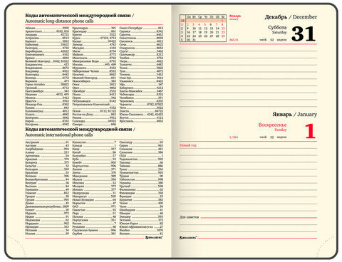 Ежедневник датированный 2023 МАЛЫЙ ФОРМАТ 100х150 мм А6, BRAUBERG "Iguana", под кожу, коричневый, 113921