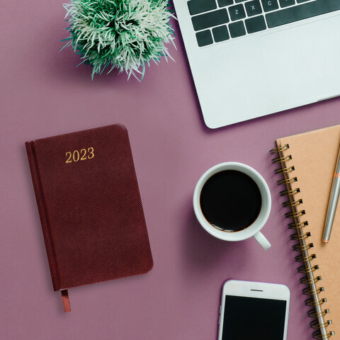 Ежедневник датированный 2023 МАЛЫЙ ФОРМАТ 100х150 мм А6, BRAUBERG "Iguana", под кожу, коричневый, 113921