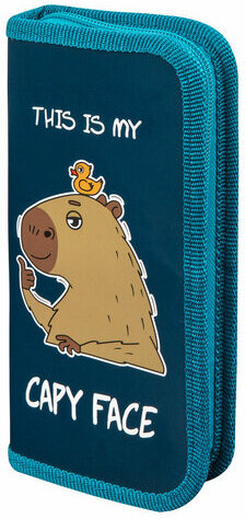 Пенал ПИФАГОР, 1 отделение, ламинированный картон, 19х9 см, &quot;Capy face&quot;, 272245