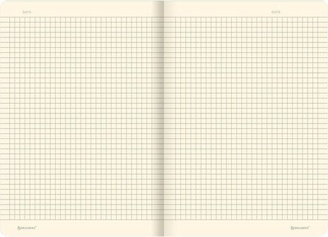 Тетрадь 40 л. в клетку обложка SoftTouch, бежевая бумага 70 г/м2, сшивка, А5 (147х210 мм), ЖУКИ, BRAUBERG, 403769
