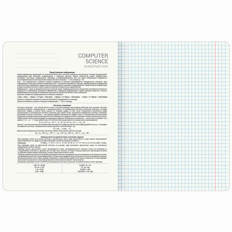 Тетрадь предметная ANIME 48 л., глянцевый УФ-лак, ИНФОРМАТИКА, клетка, BRAUBERG, 404538