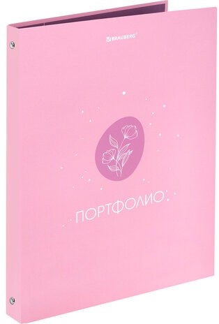 Папка-портфолио универсальная, 4 кольца, 20 файлов, 7БЦ матовая, BRAUBERG, "Gentle", 117558