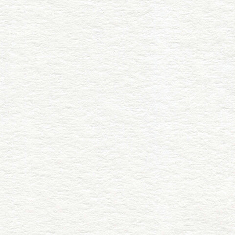 Бумага для акварели БОЛЬШАЯ А3, 10 л., 200 г/м2, 297х420 мм, BRAUBERG, "Весна", 111063