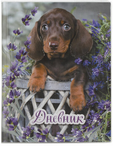 Обложка ПП 225х455 мм для дневников в твердом переплете и учебников, ЮНЛАНДИЯ, универсальная, 100 мкм, штрих-код, 229349